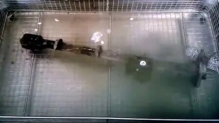 ডিজিটাল হিটার টাইমার স্টেইনলেস স্টিল শিল্প স্বয়ংচালিত যন্ত্রাংশ আলট্রাসনিক ক্লিনার জেপি-480এসটি