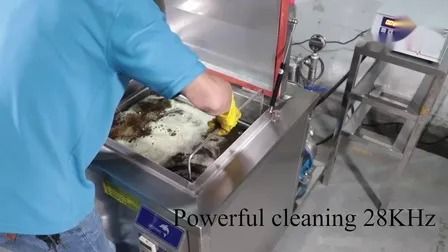 অটো ফিল্টার পার্টস তেল ধোয়া জন্য 40kHz হট-বিক্রয় অতিস্বনক কার্বুরেটর ক্লিনার